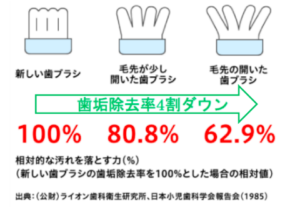 歯ブラシの寿命…ご存じですか？ | 四日市の歯医者 岩崎歯科 ...